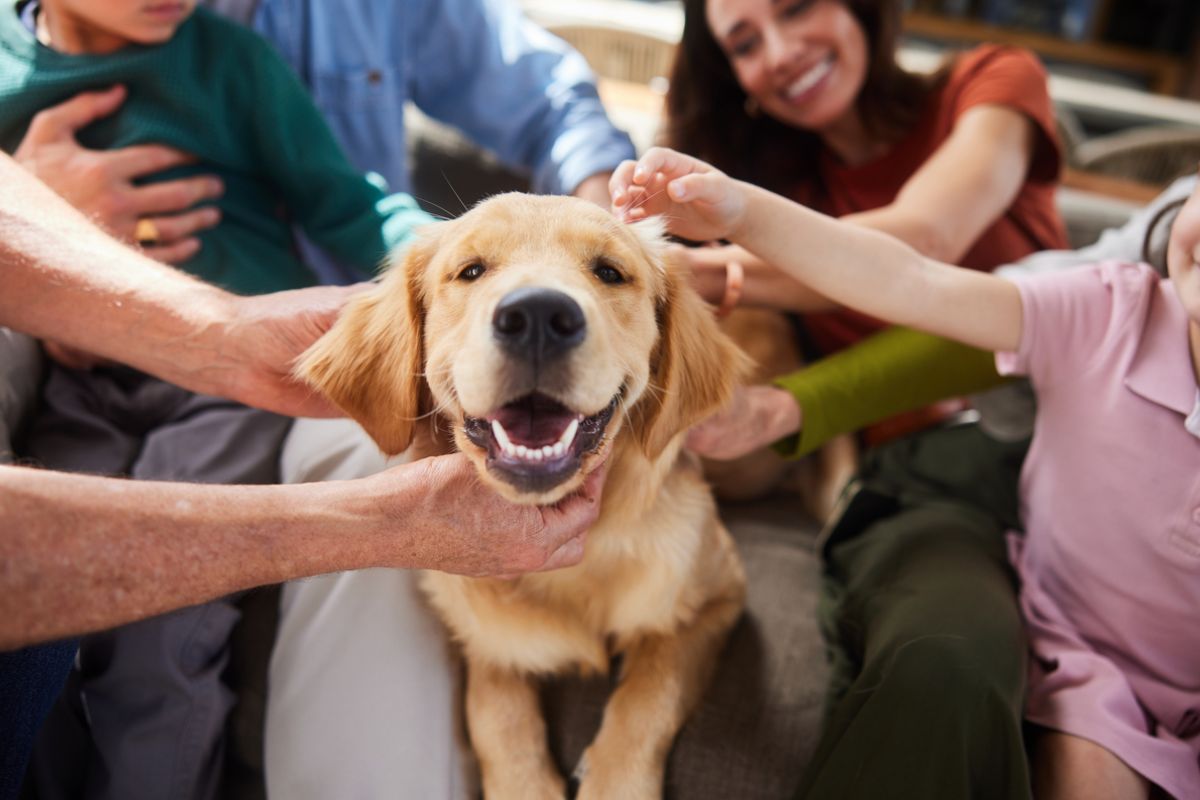 Smiling multi-generation family petting their golden retriever while sitting together on a sofa in their living room at home