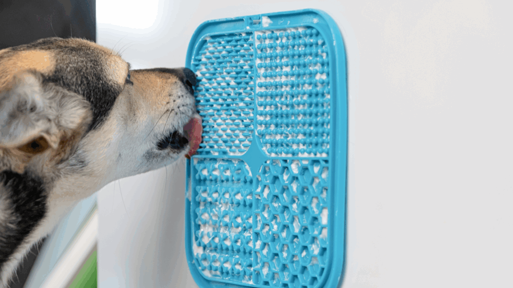 Dog licking peanut butter from a lick mat on the shower wall