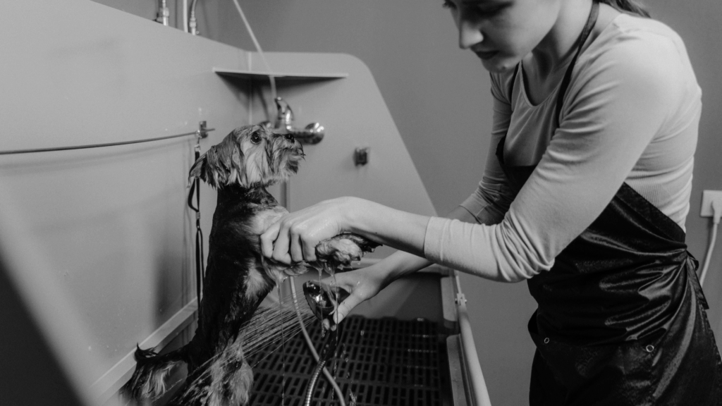 Woman washing a dog using a showerhead in a home bathroom