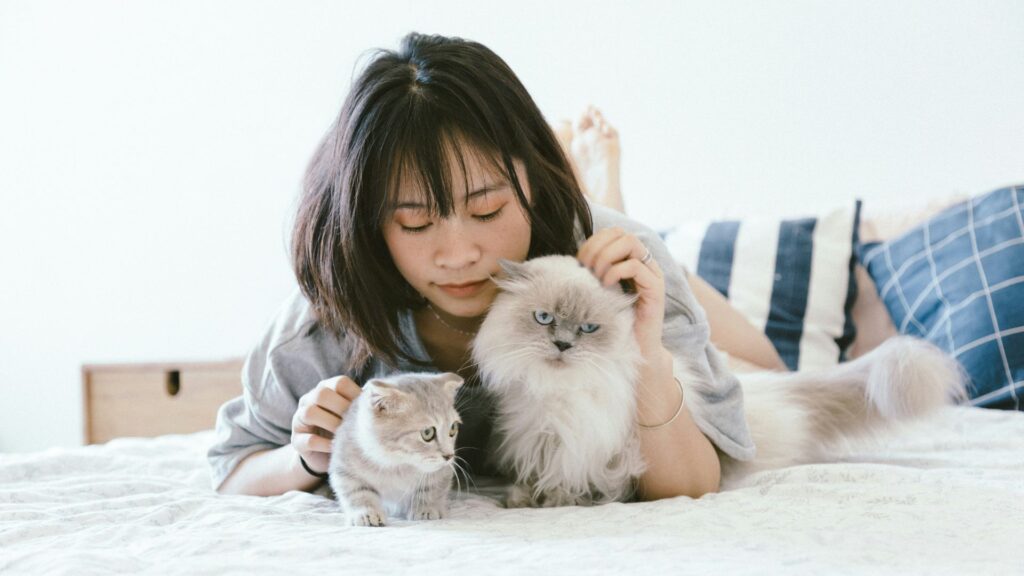 Woman lying beside two kittens on a bed