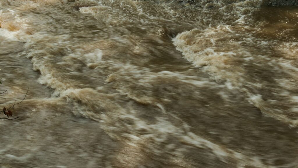 Flood Including Rocks Pets Fanatic