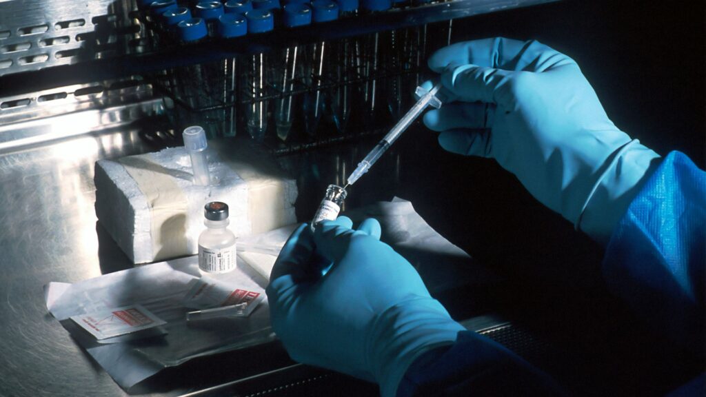 Researcher holding a small lab tool during DNA testing