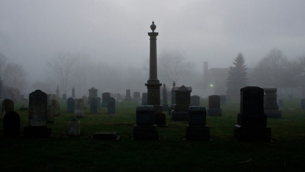 Stone cemetery tombs surrounded by trees and shadows
