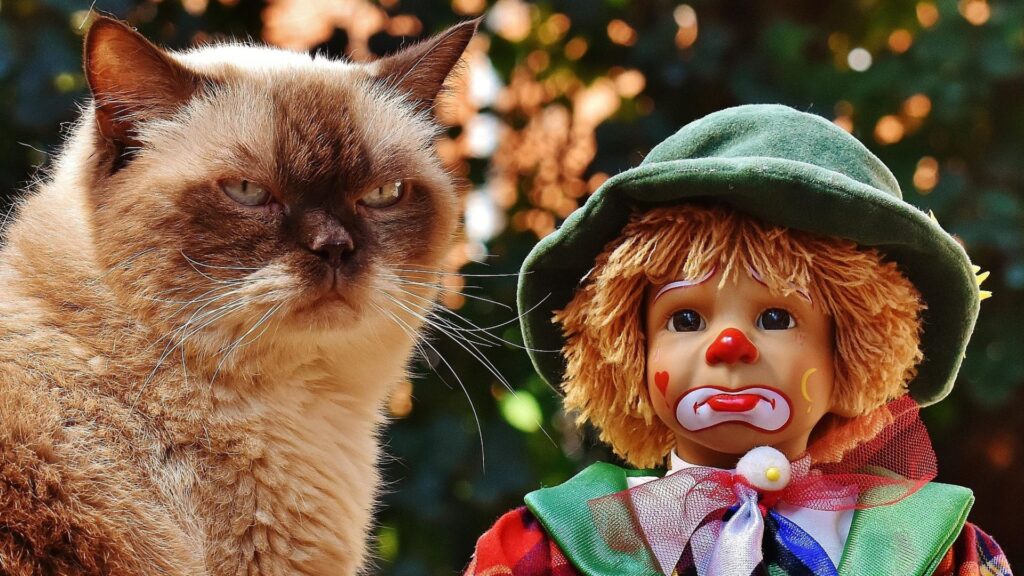 A cat sitting by a clown doll