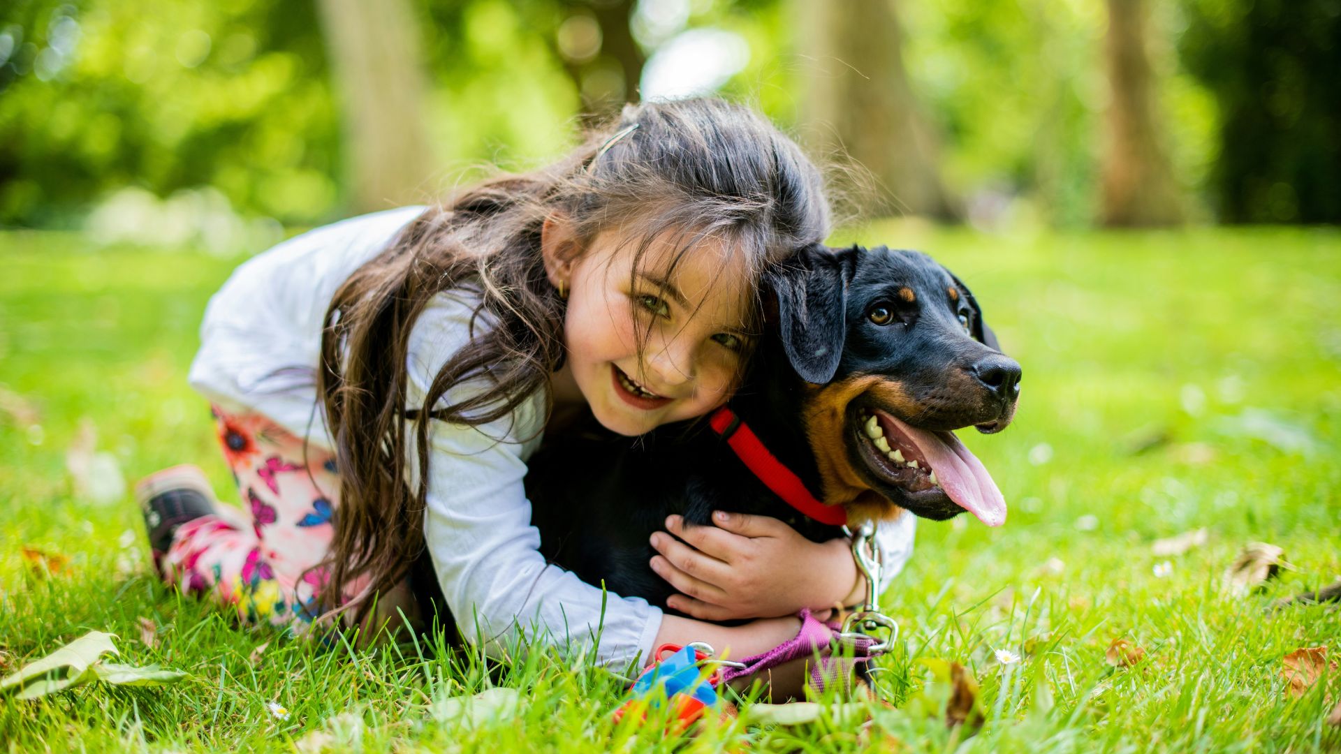 Young girl in a pink jacket playing with a black and brown dog on a grassy field