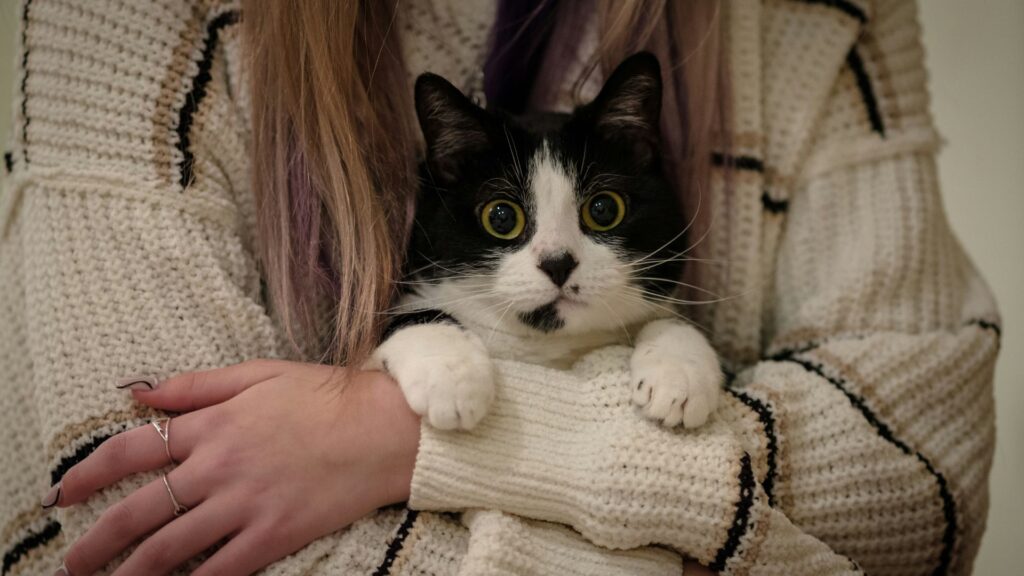 Woman holding a black and white cat in her arms indoors