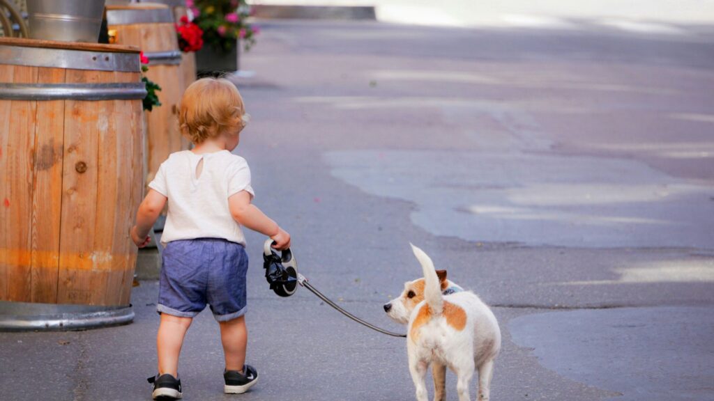 Girl in a blue shirt holding a leash while walking a white and brown dog outdoors