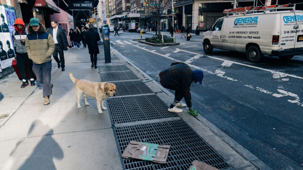 Beige dog standing outdoors and looking toward the camera