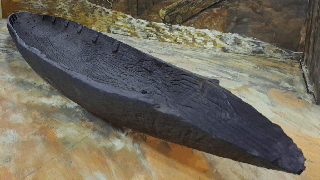 Canoe Renaissance Pets Fanatic