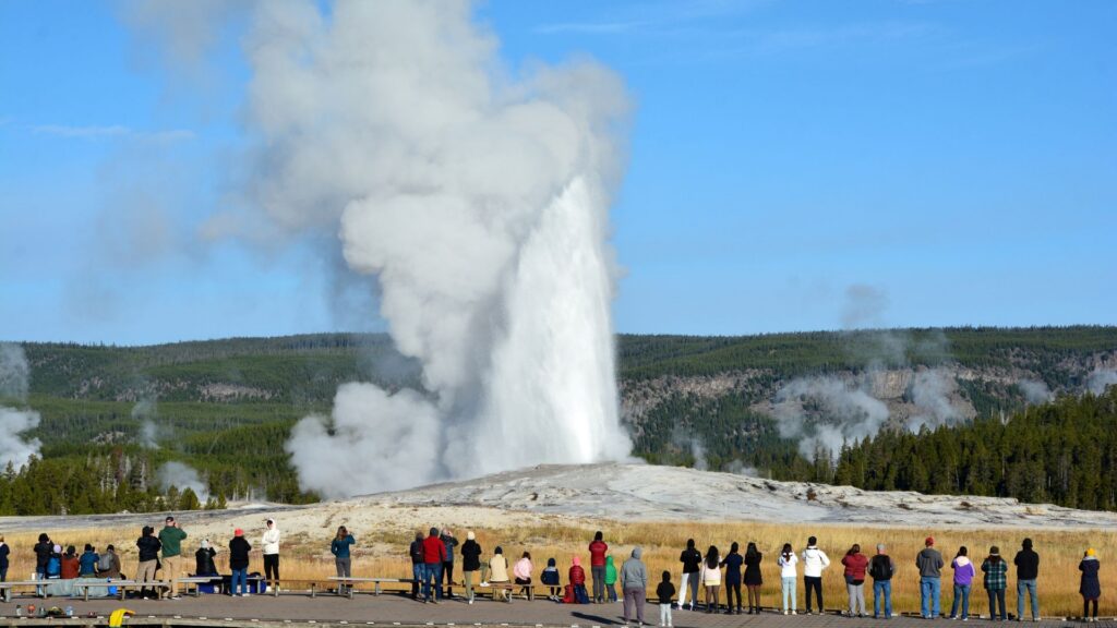 A crowd of visitors stands at a distance watching a powerful geyser eruption with steam billowing upward in Yellowstone National Park.