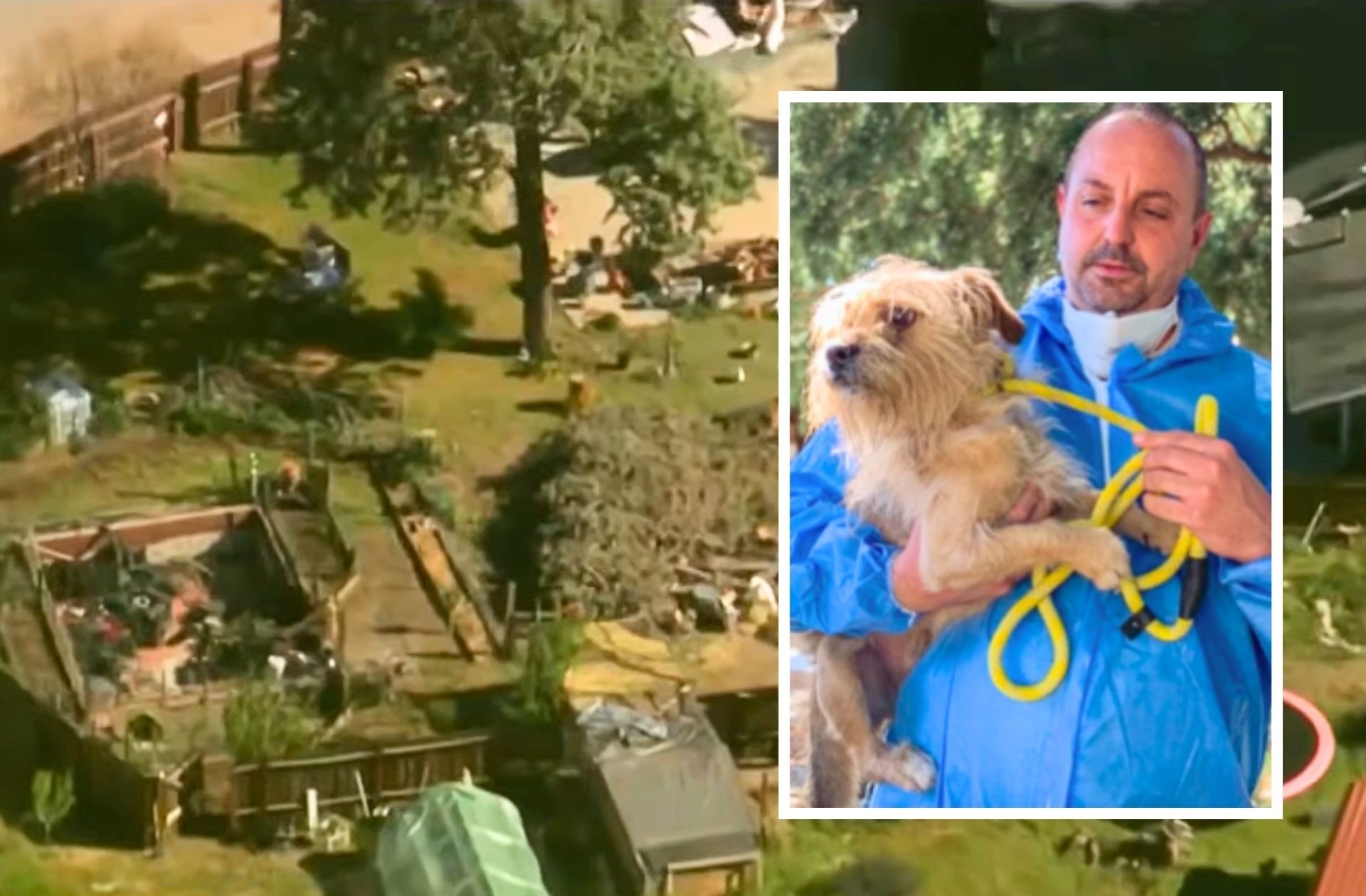 300 Dogs and Cats Seized from ‘Inhumane’ Conditions at Rescue Facility, Shelter Owner Fights Back