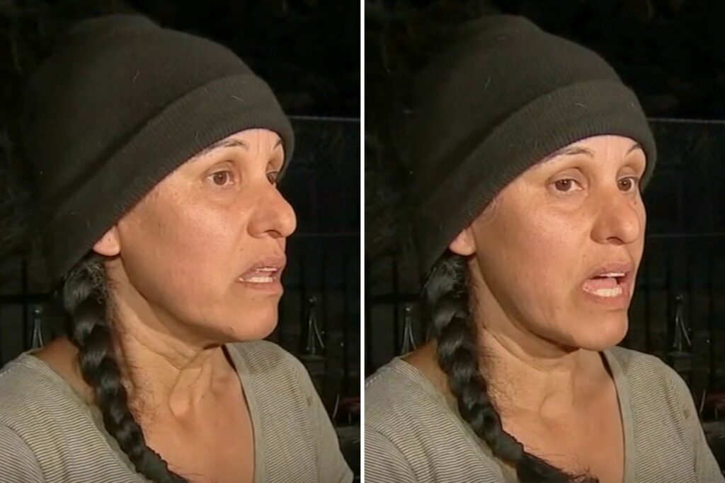 Christine De Anda, shelter owner and founder of Rock ’N Pawz Animal Rescue, as interviewed by ABC7.