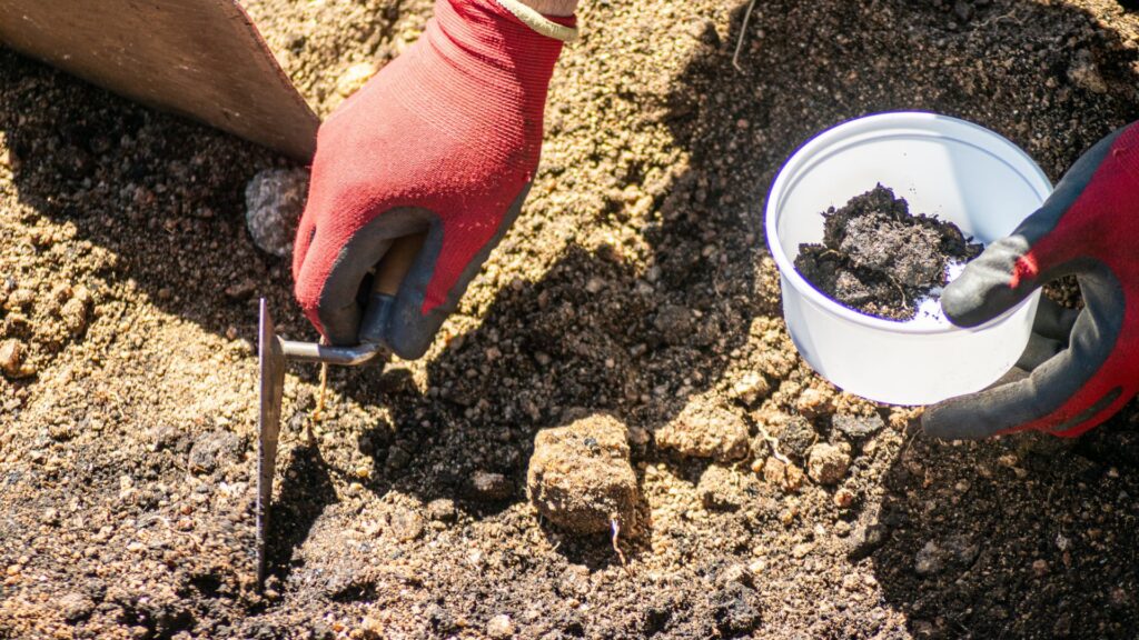 Gloved hands carefully excavating soil with archaeological tools at a dig site.