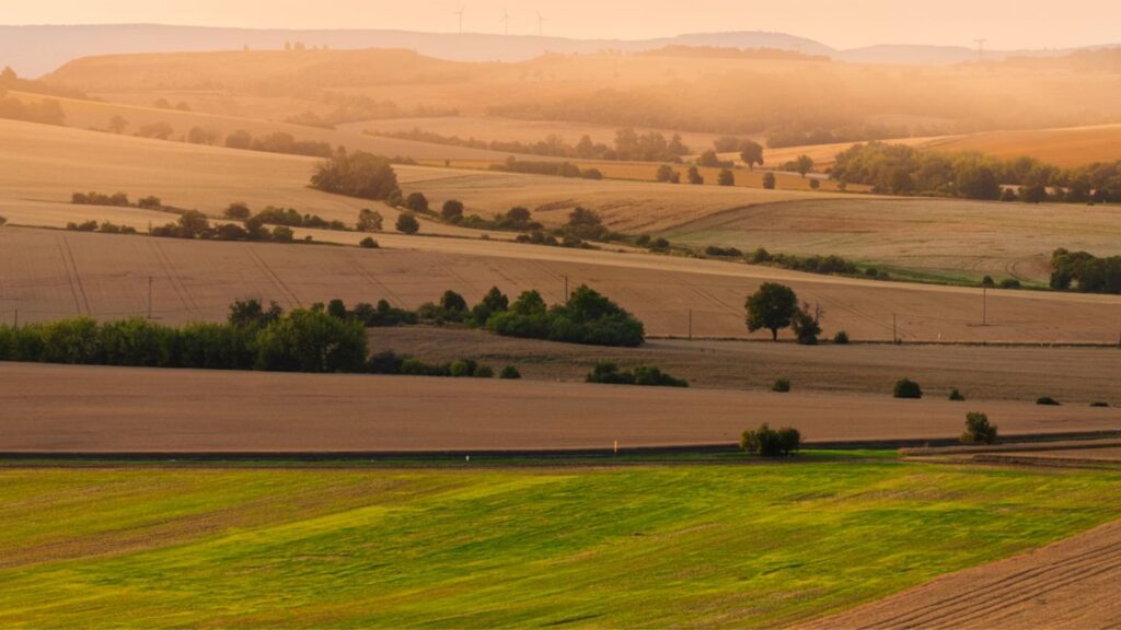 Rolling farmland fields stretching into the distance at golden hour.